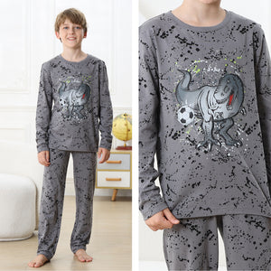 Boys Long Sleeve Dino / Football Pyjamas