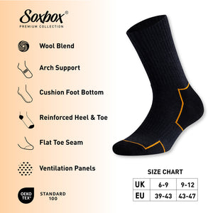 Mens 4PK Soxbox Assorted Thermal Sock
