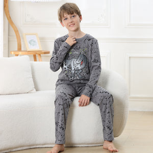 Boys Long Sleeve Dino / Football Pyjamas