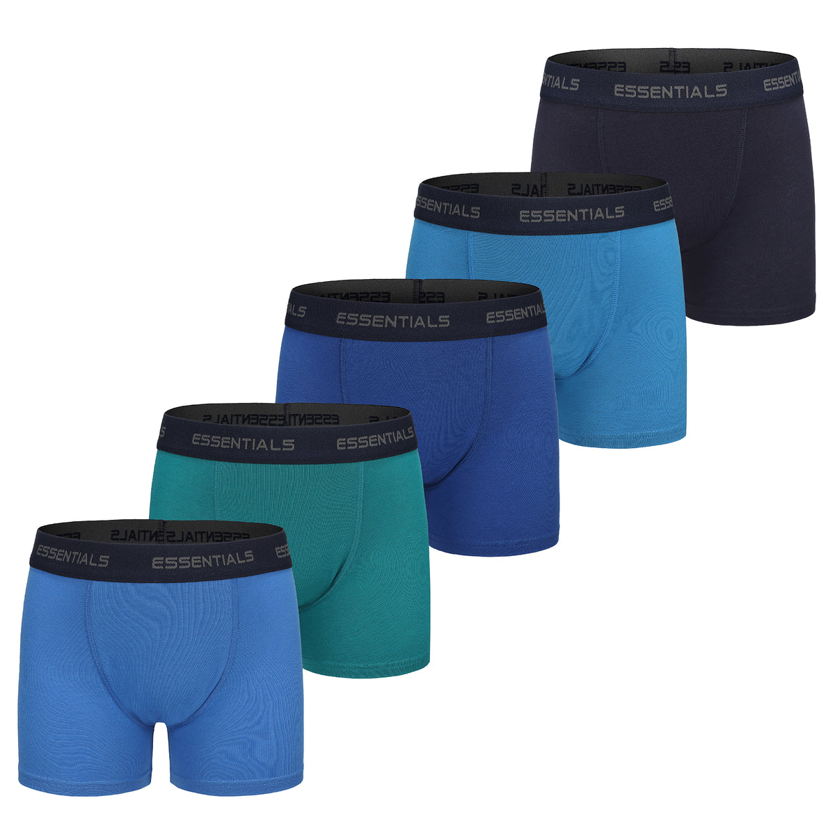 Boys 5 Pack Boxers Trunks Assorted