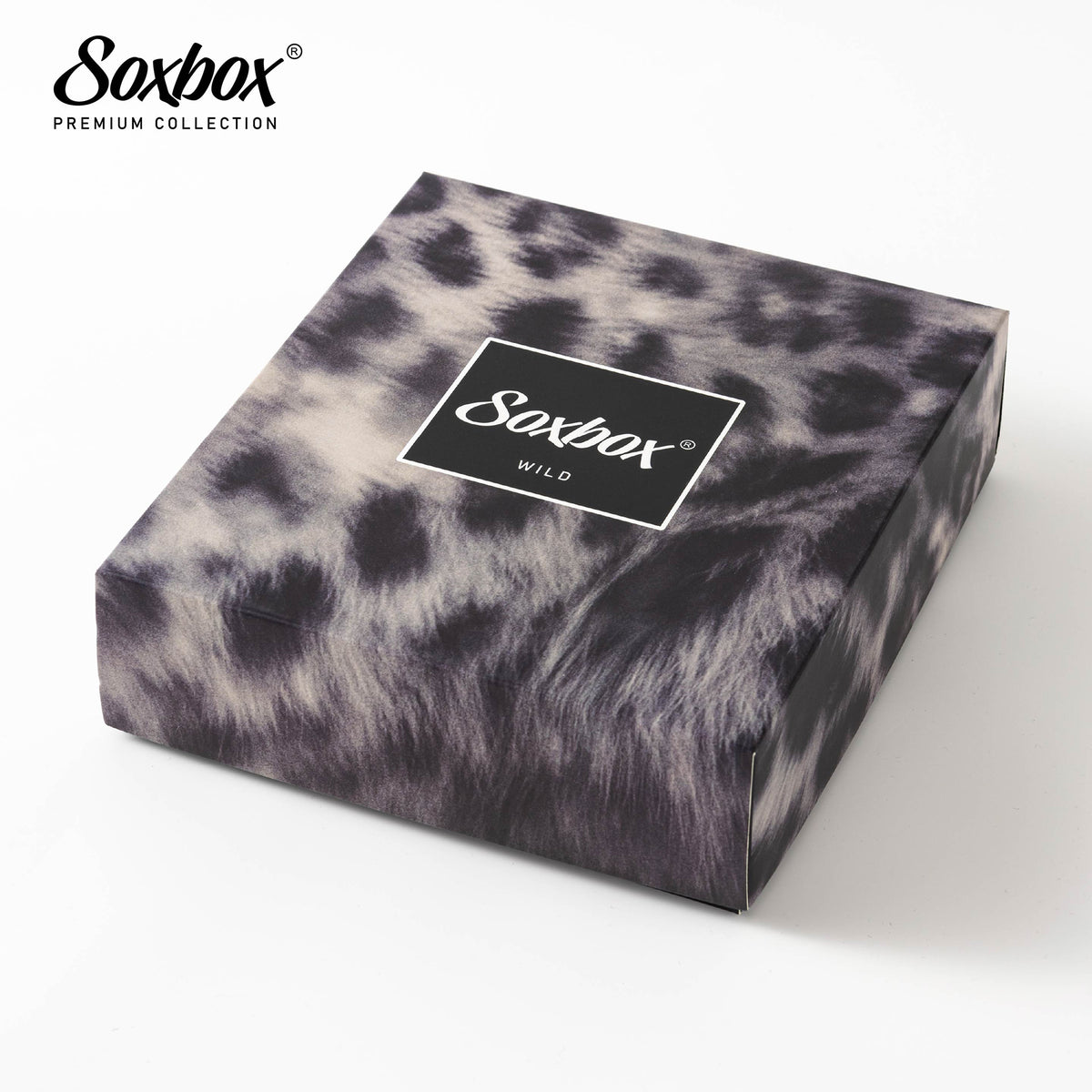 Womens 6PK Soxbox Embroidery Socks