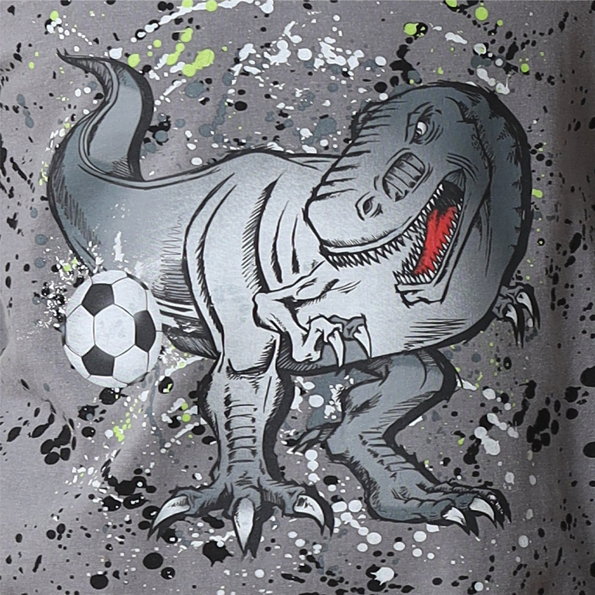 Boys Long Sleeve Dino / Football Pyjamas  