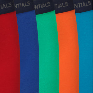 Boys 5 PK Bright Boxers